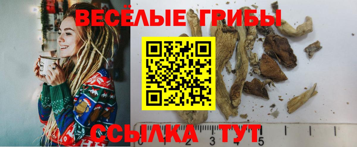 Галлюциногенные грибы мицелий Баксан