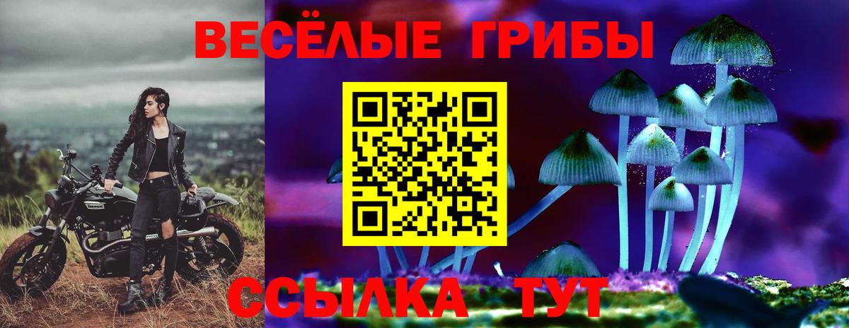 Баксан  Галлюциногенные грибы MAGIC MUSHROOMS  Вход с VPN 